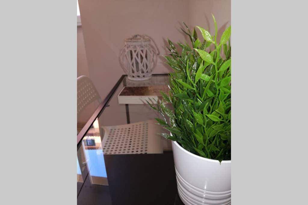 Trastevere House Apartment Roma Ngoại thất bức ảnh